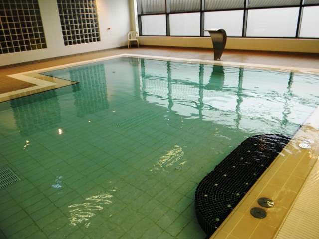 Garons Pool - Leisure Pool Mosaic Seat