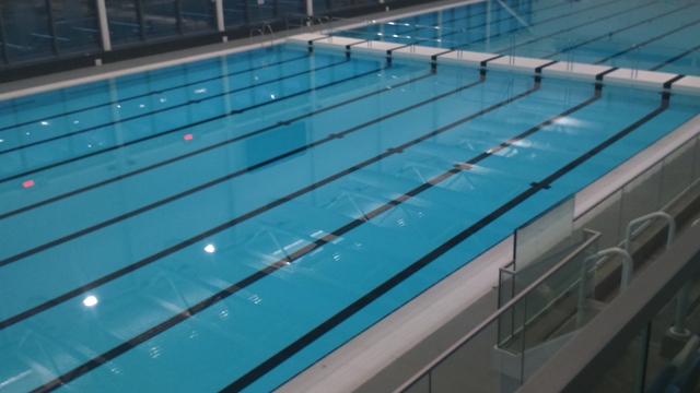 Main Pool Moveable Floor