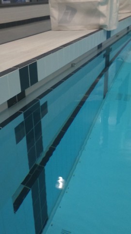 Main Pool Recessed Finger Grip & Recessed Foot Ledge Detail