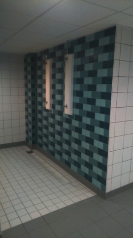 Feature Shower Wall Tiling to Showers