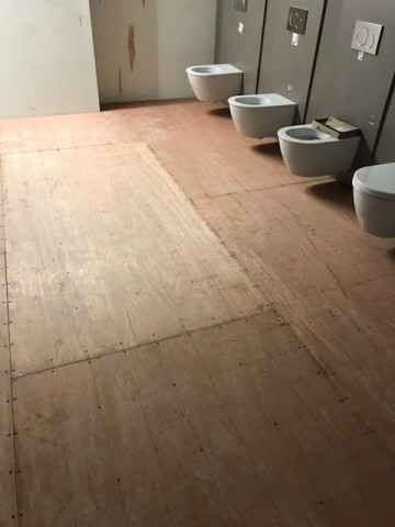 Ply in Toilets